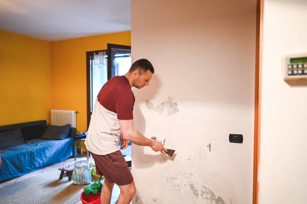Best Mold Remediation  in Ranchettes, WY